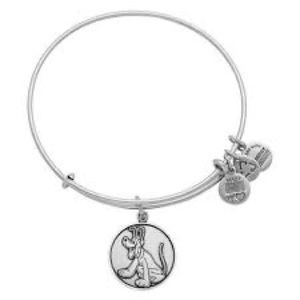 alex and ani silver pluto bracelet